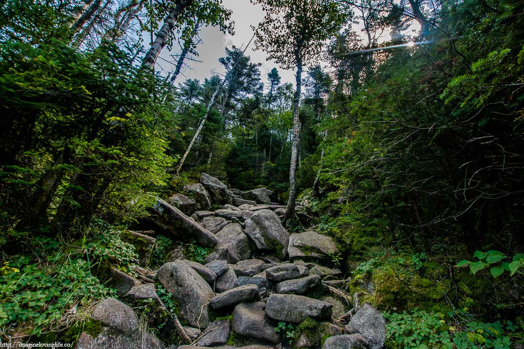 algonquin trail